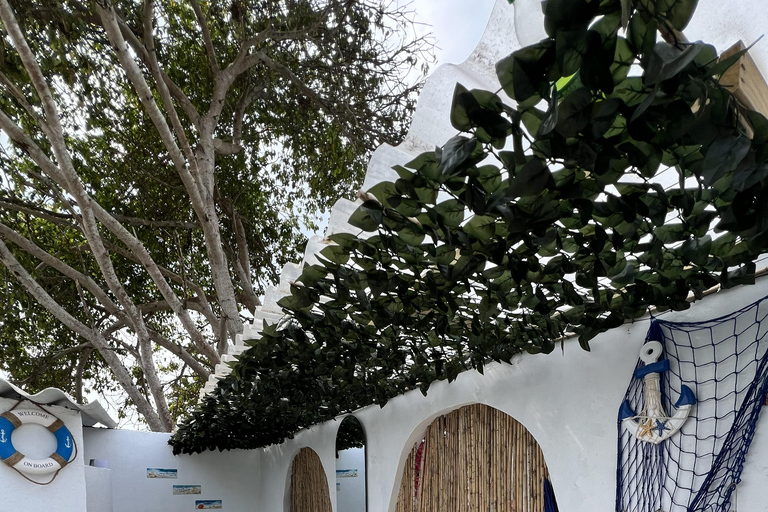 Cartagena: Luxury Day at Tierra Bomba in Ancestral Lounge with Lunch