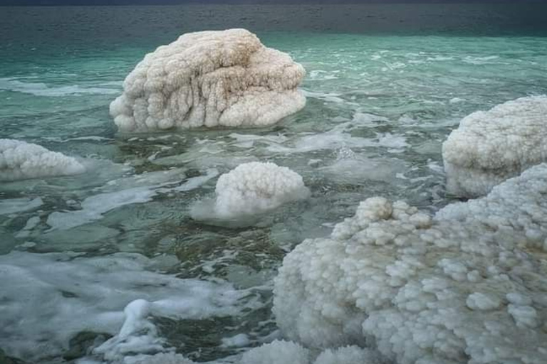 Discover Jordan from north to south on a 5-day private tour