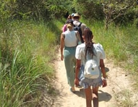 Volledige dag Shimba Hills Tour met Shifoga Nature Trail - Housity