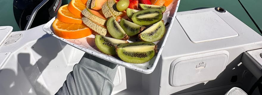 Catamaran à moteur Toutes les excursions sur les îles sont incluses