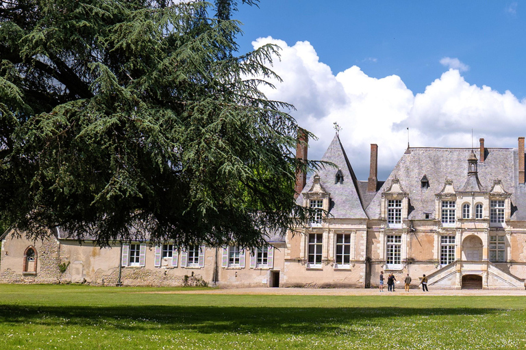 From Amboise: Full-Day Guided E-bike Tour to Chambord