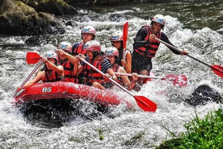 Bali: UTV Buggy Tour mit Ayung River Rafting Trip und MahlzeitDoppelt: UTV Buggy Tour &amp; River Rafting Trip - mit Transfers