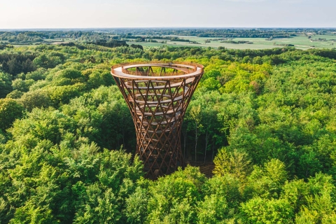 Forest Tower and Forgotten Giants - A Day Tour from Copenhag