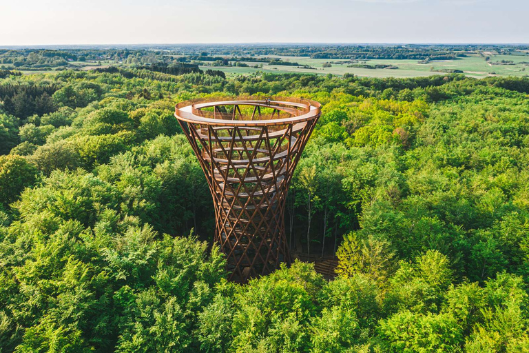 Waldturm und vergessene Giganten - Eine Tagestour von Kopenhag aus