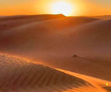 Muscat: Private Wadi Hawr and Wahiba Sands Desert Day Trip