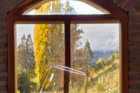 Bolsón Gourmet: Patagonian Wine Pairing. Gourmet Bag: Patagonian Wine Pairing.