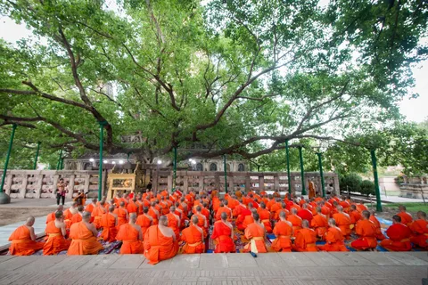Tour di 9 giorni dell'illuminazione del Buddha nei siti sacri