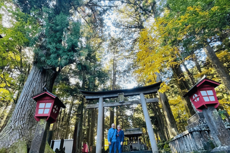 Tóquio: Monte Fuji e Hakone Tour Particular Flexível e de Baixo Preço