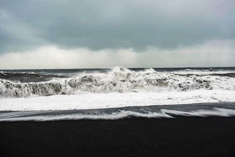 IJsland: dagtrip langs zuidkust, Black Beach en watervallenGroepstour met ontmoetingspunt