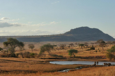 Park Narodowy Tsavo, Kenia: 5-dniowe safari5-dniowe parki narodowe Tsavo East i West Kenia