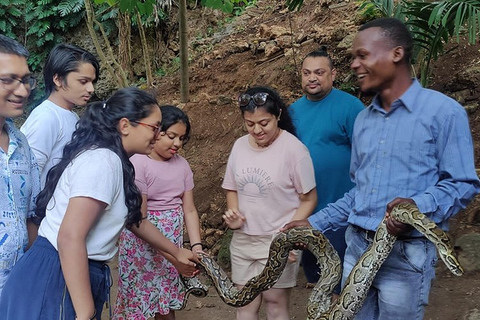 Mombasa: Mamba Village Crocodiles Feeding Experience Tour.