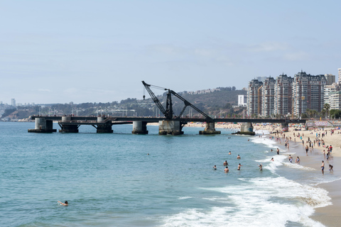 Viña del Mar: Tour por la zona costera y el casco histórico