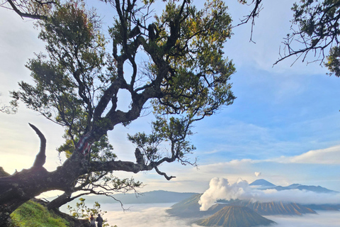 Yogyakarta–Bali 6D5N: Highlands, Volcanoes &amp; Island Drop-off