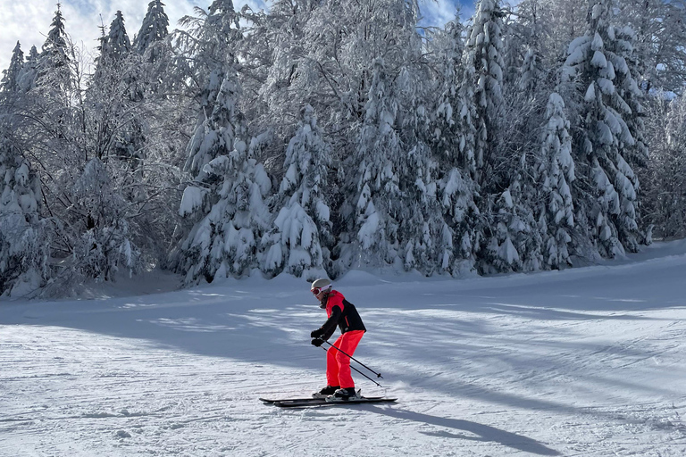 Guided ski tours in the Bavarian Forest