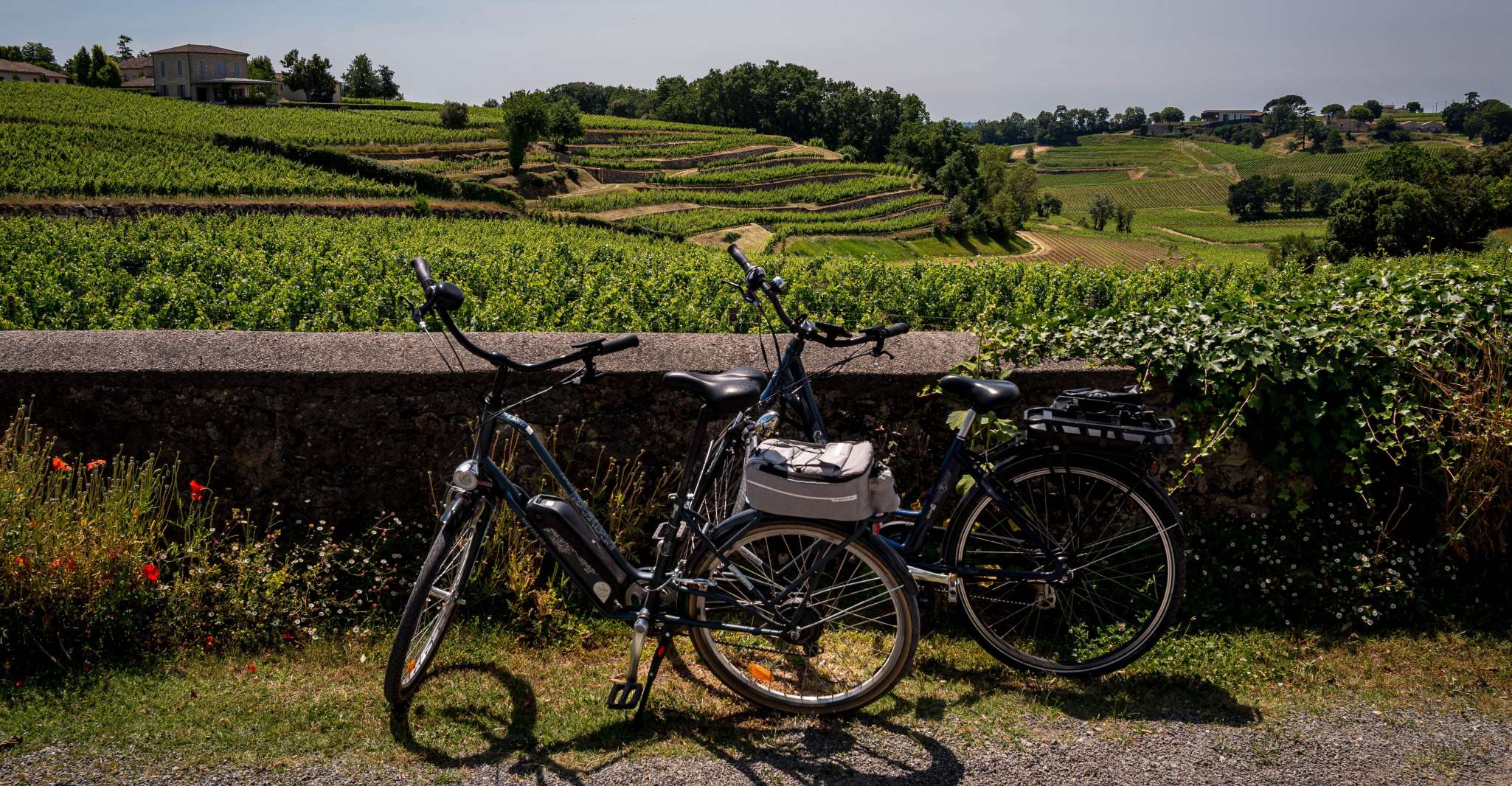 Saint-Émilion Wine Tour By ELectric Bike, Lunch included. - Housity