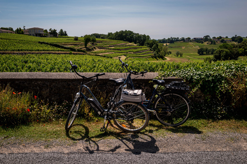 Saint Emilion Halvdags Ebike- och vintur med picknick