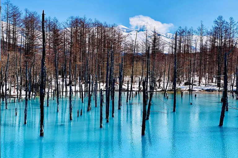 Sapporo: Asahiyama Zoo, waterval en Blue Pond Tour8:10 uur: ontmoeting bij de noordelijke uitgang van JR Sapporo Station