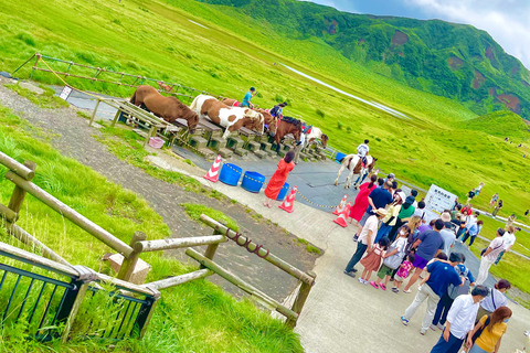 Japan: 6-Day Private Guided Tour with Accommodation