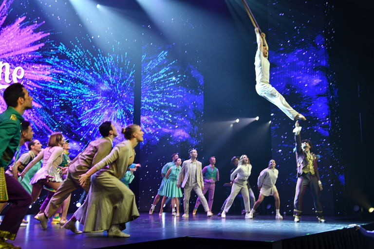 Málaga: Imagine Show Admission Ticket Zone 1