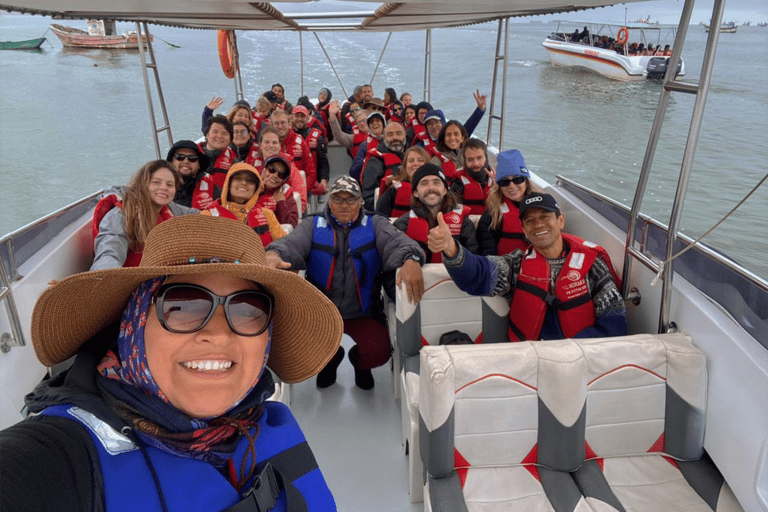 Paracas: Ballestas Islands Morning Boat Tour