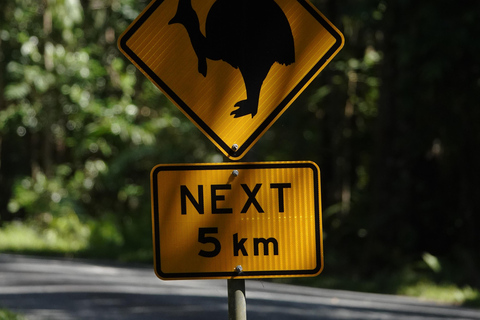 Private Great Barrier Reef and Mossman Gorge Tour
