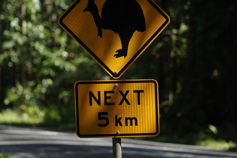 Private Great Barrier Reef and Mossman Gorge Tour