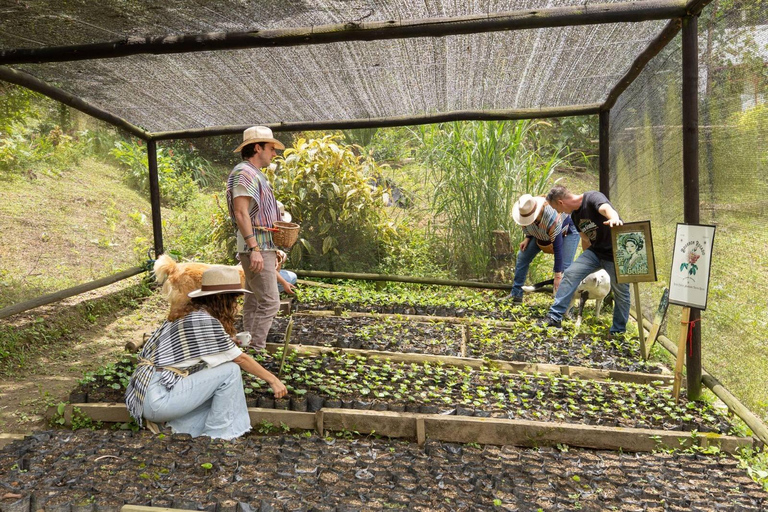 Medellin: La Casa Grande Coffee Hacienda - Coffee Experience