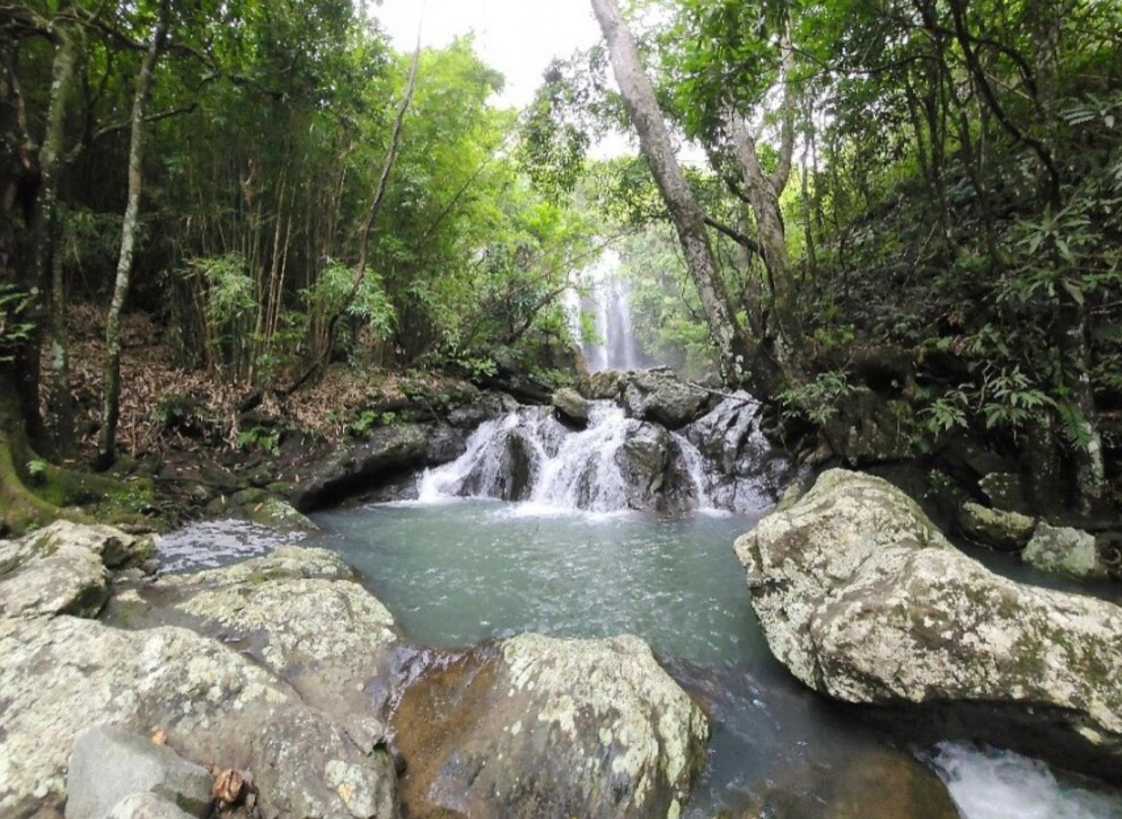Nadi: Waterfall Tour Adventure with Refreshments and Lunch - Image 1