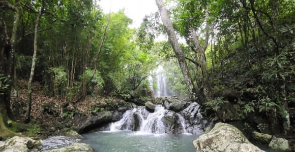 Nadi: Waterfall Tour Adventure with Refreshments and Lunch