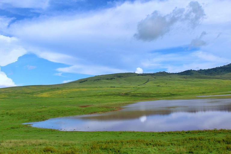 Safaris en camping de 4 jours au Ngorongoro et au Serengeti Np4 jours de safaris en camping au Ngorongoro et au Serengeti Np