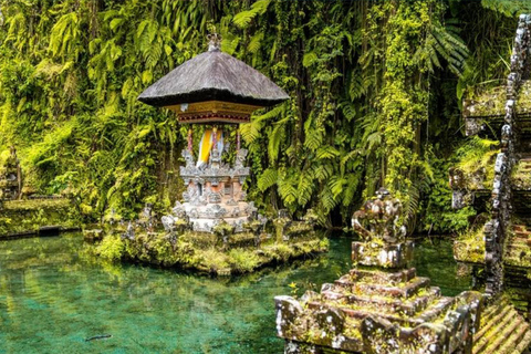 Bali: All-Inclusive Ubud Highlights Tour