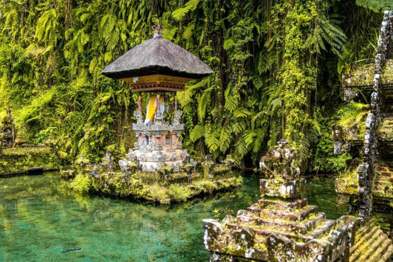 Bali: All-Inclusive Ubud Highlights Tour
