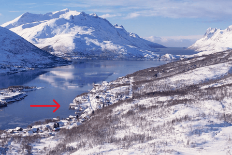 Tromsø: Ice Floating in Survival Suit