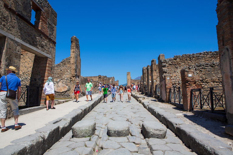 Da Napoli: Tour privato di Pompei, Sorrento e PositanoGuida turistica di Pompei in inglese/spagnolo/italiano (autista inglese)