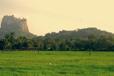 Colombo/Negombo: Day Trip to Pidurangala with Village Tour Pidurangala Day tour (Transport Only)