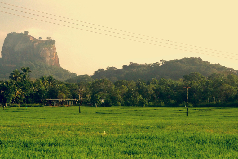 Colombo/Negombo: Day Trip to Pidurangala with Village Tour Pidurangala Day tour (Transport Only)