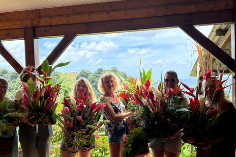 Beautiful Floral Getaway in Vauclin and Nature Walk Beautiful Floral Getaway to Vauclin and Nature Walk