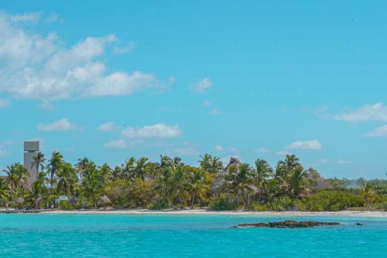 Van Cancun of Riviera Maya: reis naar Isla Contoy en Isla MujeresTour vanuit Playa del Carmen en Puerto Morelos