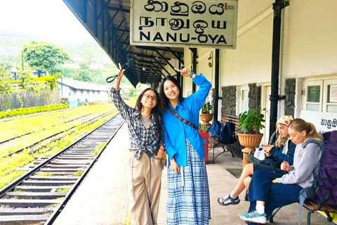 Kandy to Ella: Go by Car to Nanuoya & take the Train to Ella Kandy to Nanuoya Drop By Car & Ella Train Ride (05)