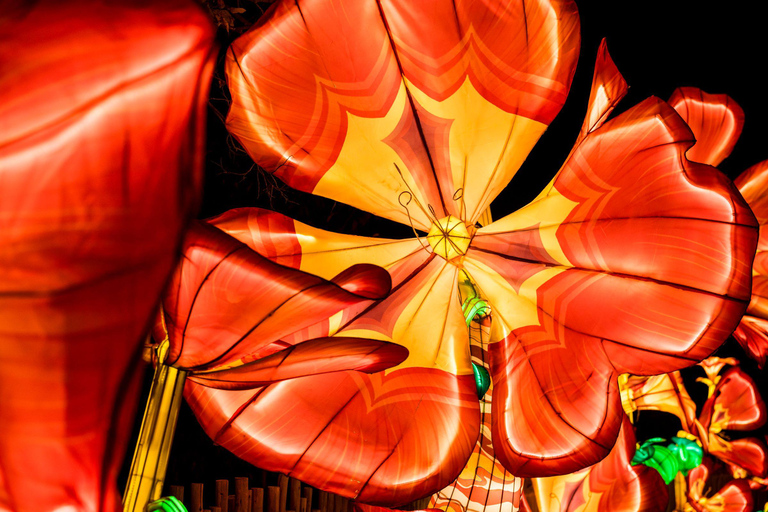 休斯顿：自然冬季灯光表演门票休斯顿：辐射自然之光假日体验门票