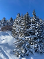 Courchevel privé sur mesure - voyage d'une journée avec hôte - Housity