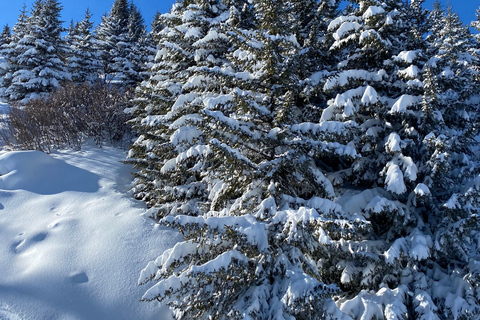 Skräddarsydd privat lyxupplevelse i CourchevelSkräddarsydd privat Courchevel-upplevelse