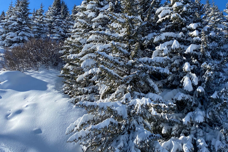 Skräddarsydd privat lyxupplevelse i CourchevelSkräddarsydd privat Courchevel-upplevelse