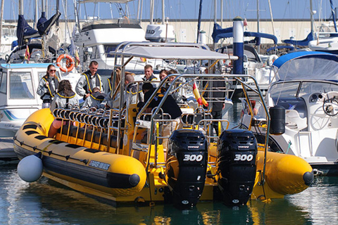 Lanzarote: Delfinobservationer med speedbåtSolnedgång med delfiner utanför Lanzarotes kust