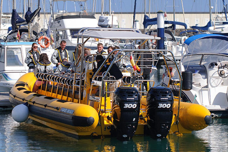 Lanzarote: Delfinobservationer med speedbåtSolnedgång med delfiner utanför Lanzarotes kust