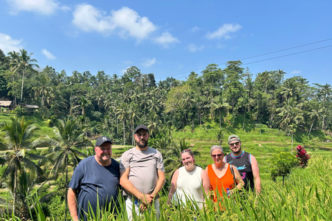 Ubud Waterfall, Temple, Rice Terrace & Art with Transfers