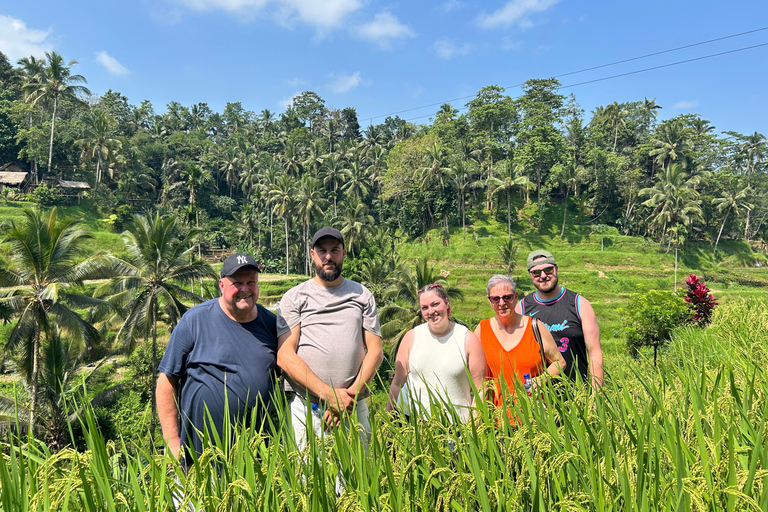 Ubud Waterfall, Temple, Rice Terrace & Art with Transfers