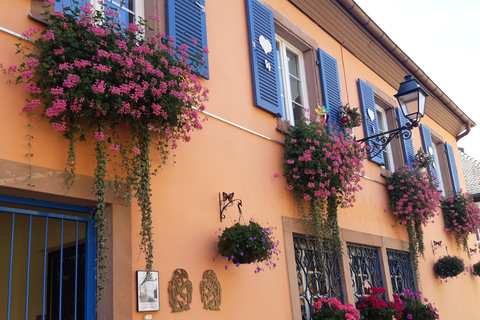 Visite d'une jounée Safari Villages et vignobles Dégustation de vinSafari Tour Villages et vignobles : Journée complète et dégustation de vins