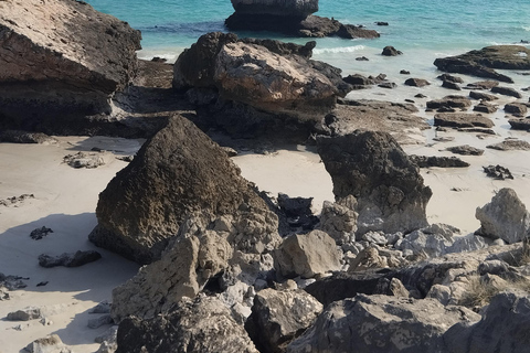 Salalah: City Highlights Guided Tour Alfizayah Salalah private tour Alfazayah Beach