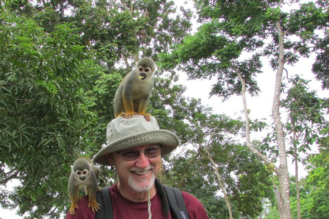 Da Iquitos || Escursione all&#039;Isola delle Scimmie di una giornata intera ||